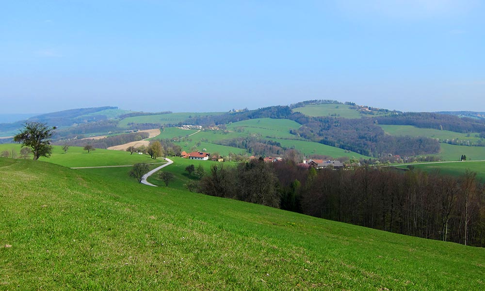 hochwienerwald